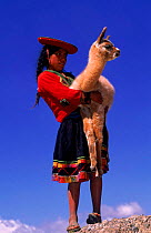 Indian girl holding Llama {Lama glama} near Cusco, Peru