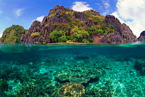 Split-level image of corals and island,  Philippines