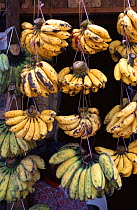 Bananas for sale, local market, Tawi-Tawi, Philippines