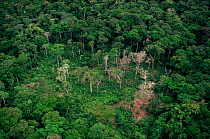 Aerial view of rainforest clearance for agriculture, Epulu Ituri Reserve, Democratic Republic of Congo, Central Africa