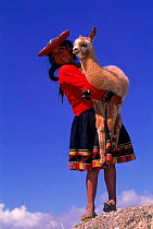 Peruvian girl holding young llama, ouside Cusco, Peru, South America