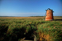 Derelict windmill at Walberswick NNR, October. Suffolk, England,
