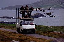 Filming imprinted Greylag geese flying for BBC tv series 'Supernatural' Scotland