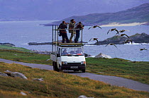 Filming imprinted Greylag geese flying for BBC tv series 'Supernatural', Scotland