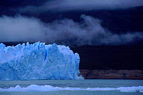 Perito Moreno glacier calving sequence 4 of 4, Los Glaciares NP, Argentina, South America