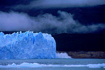 Perito Moreno glacier calving sequence 1 of 4, Los Glaciares NP, Argentina, South America