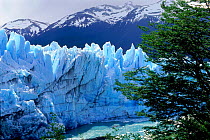 Perito Moreno glacier, Los Glaciares National Park, Argentina, South America