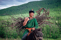 Mongolian rider on horseback carrying sticks, Hangay mountains,  Mongolia.