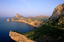 Formentor peninsula, Majorca, Spain, Europe.