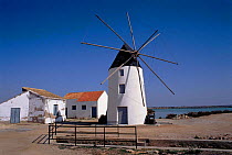 Windmill, Murcia, Spain, Europe.