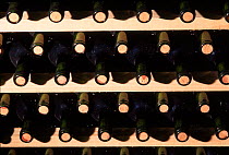 Wine bottles, Yecla, Murcia, Spain, Europe