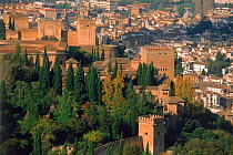 The Alhambra, 14th century Arab palace, Granada city, Granada, Spain, Europe