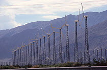 Extensive inland wind farm, Palm Springs, California, USA