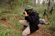 Photographer wearing protective clothing against mosquitoes, Finland, Europe.