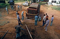 People working on vehicle for translocation of rescued Black rhinoceros (Diceros bicornis) from Tsavo NP to Nakuru NP as part of anti-poaching project, Kenya