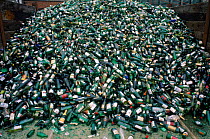 Glass bottles for recycling Devon UK