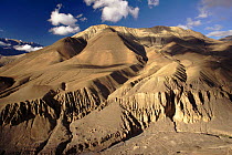 Jomson Pass, Anaphma Range, Nepal, Indian-Subcontinent.
