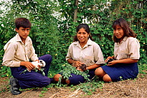 Guinea pig rearing project, Pro Pueblo Foundation, Ecuador