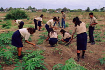 Student agriculture project, Pro Pueblo Foundation, Ecuador