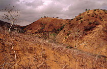 Deforested landscape, Ecuador, South America. Only one per cent of original dry forest remains.
