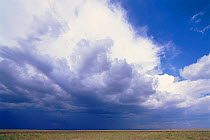 Rain clouds gathering over the savanna, Kenya, East Africa.
