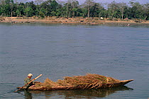Grass cutters ferry grass for thatching on the Narayani River. Chitwan NP, Nepal. Allowed to take grass for ten days of the year.