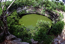 Sacred Cenote (limestone sinkhole) used by Mayans for human sacrifice, Chichen Itza, Yucatan, Mexico