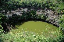 Sacred Cenote (limestone sinkhole) used by Mayans for human sacrifice, Chichen Itza, Yucatan, Mexico