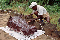 Preparation of decoy Hippo for use on a submersible to film hippos underwater for BBC tv series 'Supernatural'