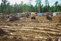 Disruption and deforestation at logging camp in Ussuri Forest, Primorskiy Region, Far East Russia