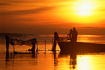 Fisherman handing fishing nets hanging out to dry at sunset, Camargue, France