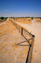 Buffalo fence near Maun, Botswana, South Africa.