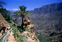 Falaj irrigation system taking water to Wakken oasis, Oman, Arabia