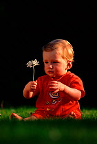 Ten month old male child (Homo sapiens) on grass. Brechin, Angus, Scotland, UK, Europe