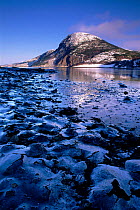 Norwegian fjords with icy foreshore. Fenes, Snillfjord, Norway, Scandinavia, Europe