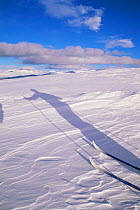Shadow of cross country skier on snowy tundra, Sylen, Norway
