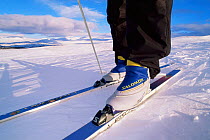 Close up of boot snad skis for Cross country skiing on snowy tundra, Sylen, Norway