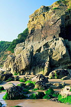 Cliff face with rocky shoreline below, Saundersfoot Bay, Pembrokeshire, Wales