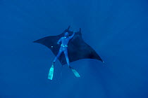 Diver swimming with Manta ray {Manta birostris}  Pacific, Mexico