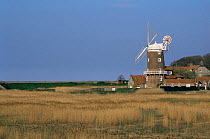 Cley windmill and reed beds, North Norfolk, UK