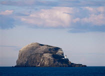 Bass Rock, vital annual breeding ground for hundreds of seabirds, Firth of Forth, Lothian, Scotland, UK