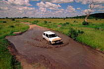 Car on flooded road. Chobe NP, Botswana, Southern Africa