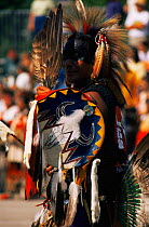 North American Indian, in native Sioux dress for pow wow, Wisconsin, USA