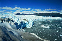 Glacial front of Piu XI glacier, Southern Chile, South America