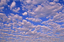Cumulo nimbus cloud formation, USA