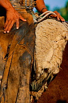 Vaqueiros / Cowboy on horseback detail, Pantanal, Mato Grosso, Brazil.