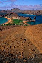 Isla Bartolome, Galapagos