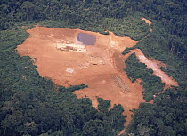 Forest clearance for exploratory oil well in Amazonian Ecuador