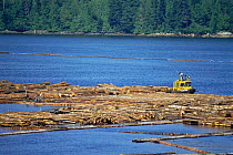 Wood processing industry, in the straits off Vancouver Island, British Columbia, Canada