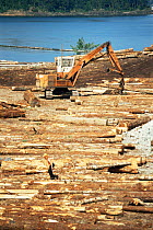 Wood processing industry, Vancouver Island, British Columbia, Canada